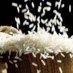 India’s rice bowl gets global audience as 3,317 buyers sign up for BIRC 2026