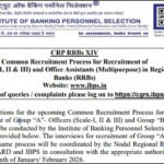 IBPS RRB CRP-XV Clerk 2026 registration begins September 1; check official notification PDF, dates and eligibility