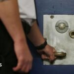 What could happen to prisoner early release scheme now?