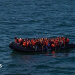 Number of asylum seekers in hotels halves in a year, data shows