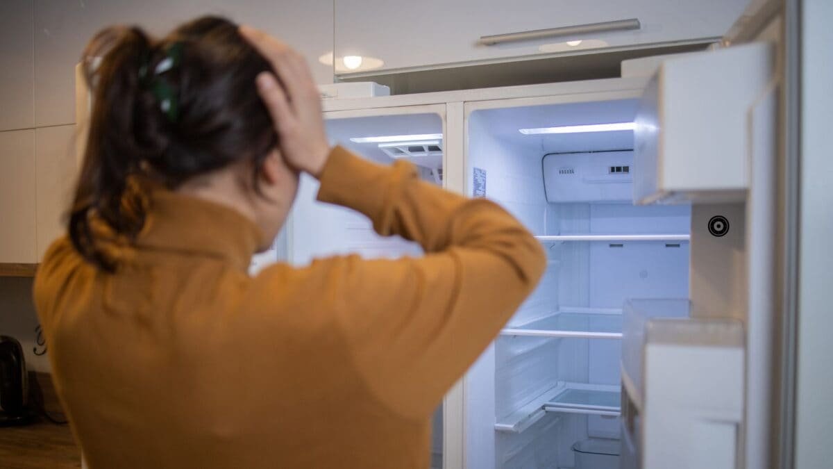 fridge 2026 08 a9902ce6104e546ede8ed95646df70bf