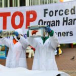 Doctors, Lawyers Urge Coordinated Action Against Forced Organ Harvesting in China