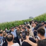 Recent Homicide in China Draws Online Sympathy for Arrested Suspect