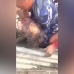 Young Girl Rescued From Rubble in Nepal
