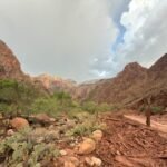 Dozens Evacuated From Grand Canyon After Flash Flood Hits Creek Leading to the Colorado River
