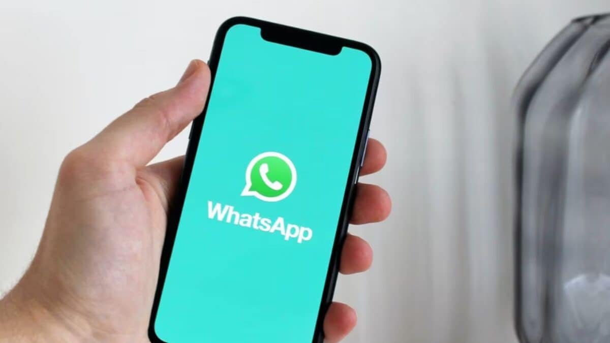 whatsapp 2026 08 899c30c632ca8c1cf150c494b96acadb