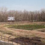 In 2014, an American town was known as the ‘food desert’, but one man turned a college football field into a farm that generates 60,000 pounds of produce
