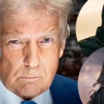 Donald Trump meets Angelina Jolie’s dad Jon Voight; calls for federal tax incentives to save American films: ‘Hollywood is a complete and total disaster!’ |
