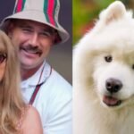 Taylor Swift and Travis Kelce own a Samoyed dog, the breed known for its famous “smile”: Here’s the fascinating evolutionary story behind one of the world’s most recognisable dog faces