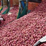 Onion price hike: Centre expands Rs 35/kg sale to 19 cities amid supply concerns