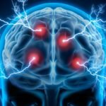 Forgetting things too often? These everyday food combinations may support memory and brain health