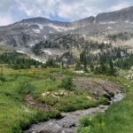From 1886 to 1968, more than 20 million fish were stocked in waters that became Rocky Mountain National Park; in 2026 crews treated 14.3 miles to remove non-native fish and restore threatened greenback trout