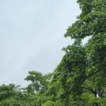 Rain exposes civic gaps, roads remain submerged | Lucknow News