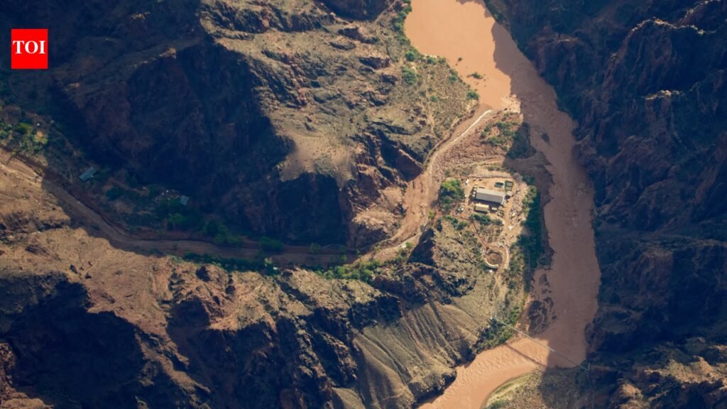 Three women were caught in a deadly Grand Canyon flash flood and clung to a rock ledge for 5 hours; after briefly believing each other had been swept away, a helicopter found them alive