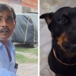 Watch: Why this Jaipur kulfi seller is making special sugar-free kulfi just for dogs |