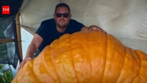 Essex gardener grows 1,200lb pumpkin named Gladys that gained more than 40lb in a single night: ‘Feels like a father’ to giant vegetable