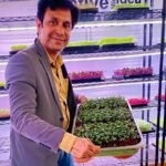 Mohit Nijhawan: Meet Mohit Nijhawan: The microgreen guru who left his ₹90 lakh job and a sprawling 2-decade career to start an indoor farming business; today, it has a yearly turnover of ₹1.44 crore
