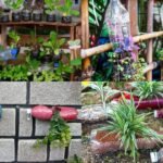 Recycle Plastic Bottles: DIY: 5 creative ways to recycle empty plastic bottles for your home garden