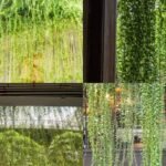 How To Create A Living Curtain: DIY: Create a beautiful “living curtain” with hanging plants to add privacy, freshness and natural charm to your home |
