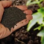 For 100 years, Milwaukee has been turning human waste into lawn fertiliser; 10.5 billion pounds diverted from landfills