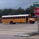 Indian woman in US explains school bus rule: Crossing it can cost up to Rs 94,490