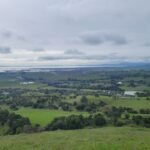 A Napa art center is giving up development rights on 162 of its 217 acres; the deal protects 75% of the estate while directing up to $1.85 million back to the arts