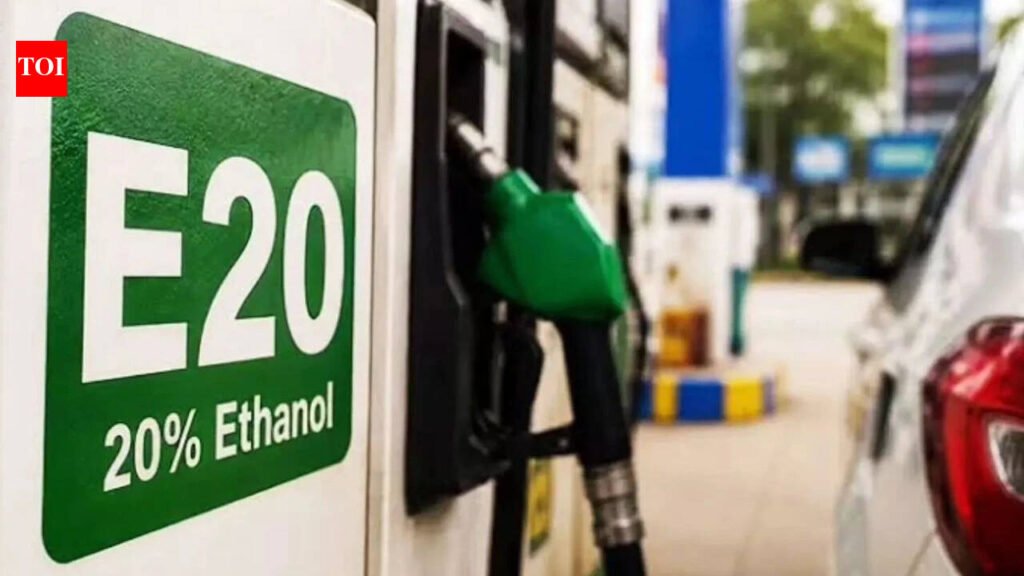 Beyond E20? Only flex-fuel vehicles may have the option, indicates adviser | India News
