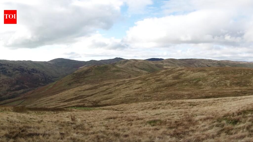 In 2012, an English upland restoration project began fencing sheep out of Tebay Common; 60,000 trees later, lost woodland is returning and 11 new breeding bird species have been recorded since 2016