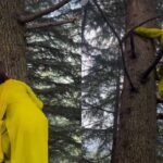 Content creator Pooja Guleria’s tree-climbing video catches attention online; internet praises her effortless agility