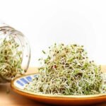 How to make fresh moong and chana sprouts in your kitchen