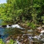 A West Virginia family with roots around Audra stretching back 175 years donated 47 acres to the state park; one gift increases the entire park by about 13%