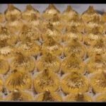 Nashik sweet shop sells ‘Ganpati special’ 24-carat ‘Golden Modak’ for Rs 27,000 per kg |