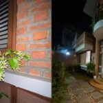 Woman returns home after 6 months, one thing in her father’s garden makes her forget life’s troubles