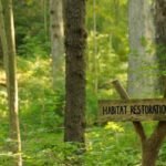 An anonymous donor gave Cincinnati $1.8 million to restore 228 acres of forest; the 5-year project is the city’s biggest park reforestation effort in nearly 100 years