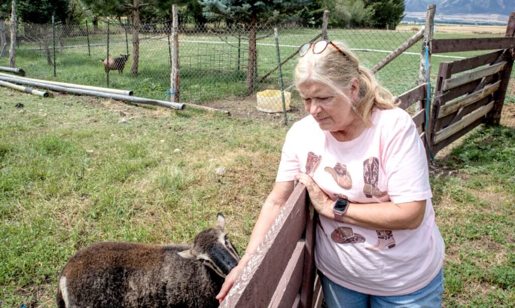 A Utah couple spent 14 years trying to stop their 25.5-acre farm from becoming another subdivision; the land is now permanently protected from development even as homes spread around it