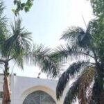 Harivansh Rai Bachchan trust plans dharamshala in Ayodhya | Lucknow News