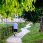 England found 238 constituencies where at least 20% of properties are more than a 15-minute walk from green or blue spaces | World News