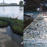 In 2017, Dubuque turned recycled plastic equal to about 67,000 water bottles into 14 floating islands; the 2,674-sq-ft system now adds plant, fish and bird habitat to Bee Branch Creek