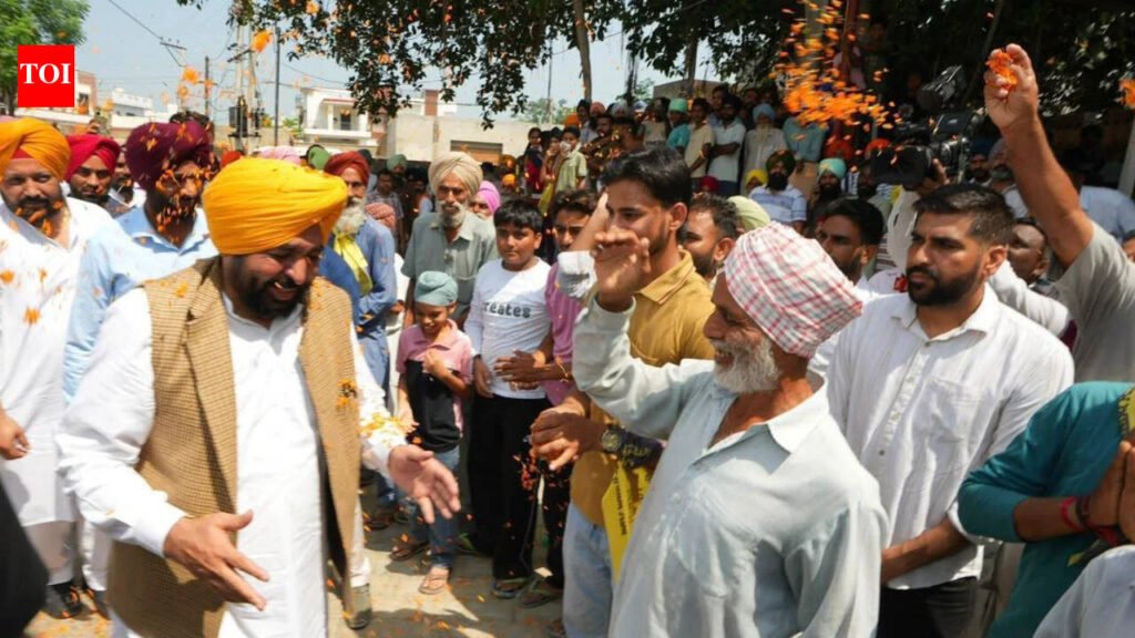 Punjab CM launches ‘Mann Da Munafa’ door-to-door campaign highlighting welfare initiatives | India News