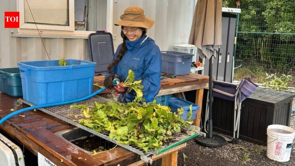 ​Meet Apollin Lu, the 17-year-old British Columbia student who mobilised 140+ volunteers to rescue nearly 9,000 pounds of farm produce
