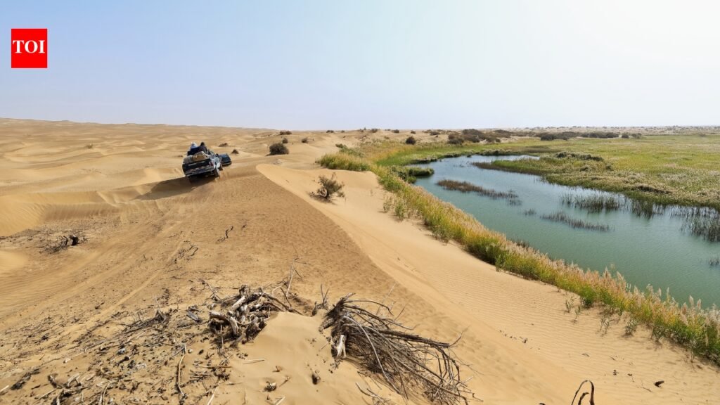 Taklamakan Desert Water Discovery: China spent years building a ‘green wall’ around the Taklamakan desert; now researchers discover hidden water resources in the layer of sand