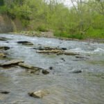 A Kentucky woman spent 35 years turning 45 acres into a nature preserve; now a nearly $40 million sewer project has secured seven easements across her land through eminent domain, triggering fresh county scrutiny