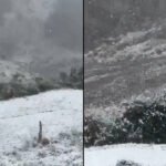 Season’s first snowfall blankets Himachal Pradesh’s Kinnaur as early winter chill reaches higher reaches |