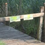 Meet Erin Gardner, the Westford student raising $2,200 to rebuild a 24-foot trail bridge; she has already raised $1,125 and plans to replace its railings so children can safely keep using the path