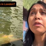 ‘Because we have to promote a culture, right? Toh hum log kya karenge? Ganesh ji ki murti ko lenge aur bas Thames mein phenk denge’: Woman questions Ganesh Visarjan in London, video sparks debate