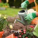 Before buying another plant, fix these 5 common garden problems first