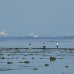 Indian imports of Russian crude oil to decline further amid lower exports, Chinese competition | India News