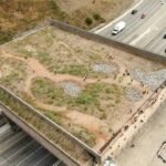 Joshua Tree wildlife crossings planned in California’s Mojave Desert to curb wildlife-vehicle collisions; two State Route 62 structures to protect bighorn sheep, mountain lions and bobcats with $6 million-plus funding