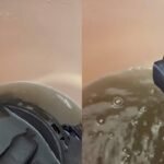 How To Clean Helmet Padding: Viral video shows how dirty helmet padding gets: Easy steps to clean them without hassle