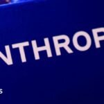 AI ‘kill switch’ may need to be mandatory, Anthropic co-founder says
